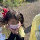 야동농장 이미지