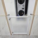 커몽도그 이미지