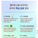 [Wedding] 💍식물성멜라토닌 엑사멜라 멜라토닌영양제 후기