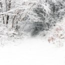 비전농장 이미지