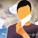 (주)파라다이스여행사 머니투데이