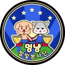 별빛멍냥 네이버블로그