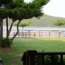 오투오션1 이미지