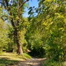 팜카페빨간머리앤 이미지