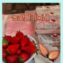 오닭꼬치(서천점) | 논산 딸기축제 2탄 혼자 다녀온 후기 (9시도 늦은건가? 주차·성심당 현실 상황)