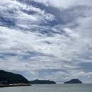 완도 파인비치 호텔 사우나 네이버블로그