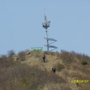 생일면-2 이미지