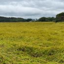 월곡리 마을회관 이미지