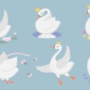 관성농장 | 당신은 아직 호수를 찾지 못한 '백조' 입니다