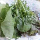 올가 펜션 이미지