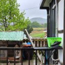 안대머리농가민박 | [충남/보령] 안대머리 농가민박 (5/5~6)