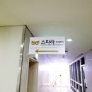 스파라프리미어