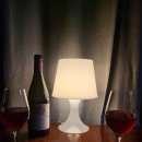 베일리하우스애견펜션 이미지