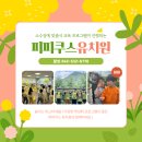 피피쿠스유치원 이미지