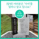 [북부] 가야금 | [탐방] 여러분은 ‘가야’를 얼마나 알고 있나요?
