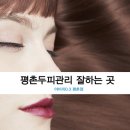 아미치0.3 네이버블로그