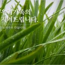 정애농장 이미지