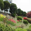 백암고등학교 이미지