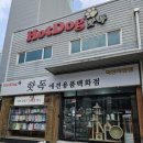 핫독애견백화점 이미지