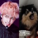 태형 이미지