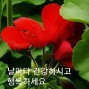 화요일 카톡인사 이미지 이미지