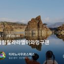 효성팜 | [2021] 초보 블로거 2년차 돌아보기