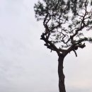 최남단스크린골프 이미지