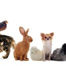 성공회대학교 시민평화대학원 이미지