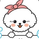 버블독 이미지