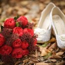 한길웨딩 이미지