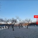 고릴라펜션 이미지