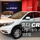 자동차시대 이미지