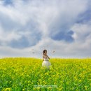 도희목장 이미지