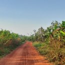 김재호 농장 이미지