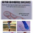 대전에서 보내온 코스모스 &amp; 기능성 5D깔창~ 이미지