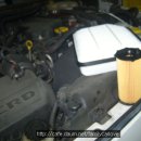 오토훼미리 이미지