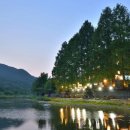 제이디펜션 이미지