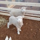 종점농장 이미지