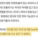 [속보] 코로나 방귀로도 전염된다..."방역 수칙 지켜야" 이미지