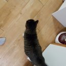 가남동물병원 이미지