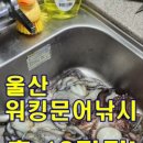 오이시타코 이미지