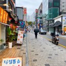 이화여자대학교 자연사박물관 네이버블로그