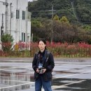 2020-972 | {제 3편} {원주의 관광명소} 강원도 원주 소금산그랜드밸리 탐방후기; ’소금산 울렁다리‘ 탐방 후기