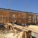 선흘하루 이미지