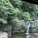 그냥식당 | 명당폭포식당 후기 !