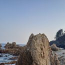 경정민박 | 영덕 대게 현지인 맛집 추천 내돈내산(포장 OK)