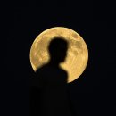 문MOON 이미지