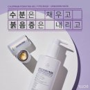 업앤다운1 이미지