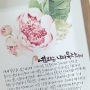 예랑캘리