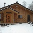 황토와소나무 이미지